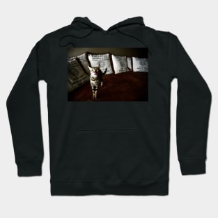 Savannah Katze 1 / Swiss Artwork Photography Hoodie